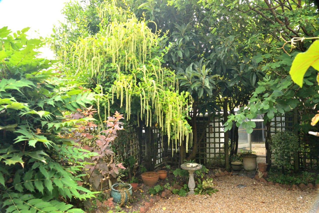 Cosy House, A Train Spotter's Delight! * New Alresford